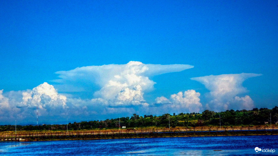 Nehéz kérdés, püspök, vagy nyúl