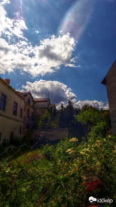 Sopro, belvárosi méh-legelő