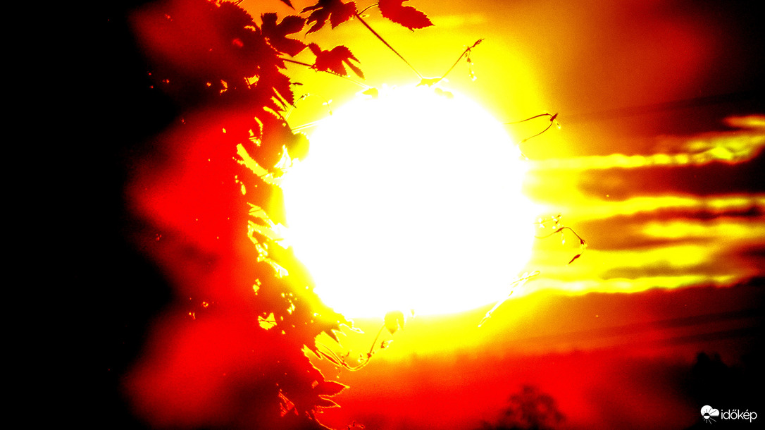 Naplemente - kimaxolva