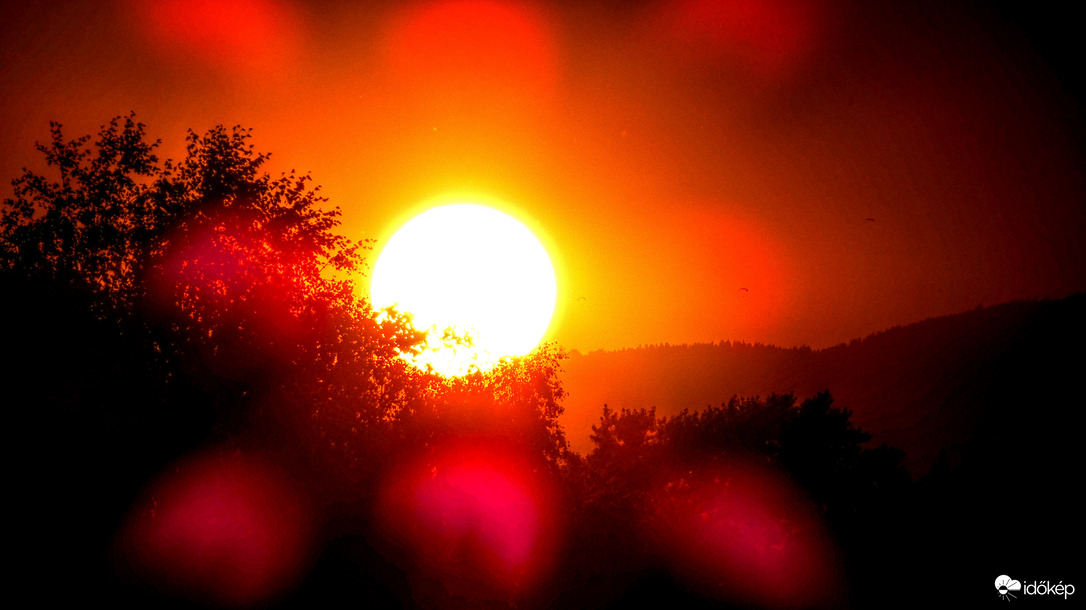 Naplemente -9 klónnal