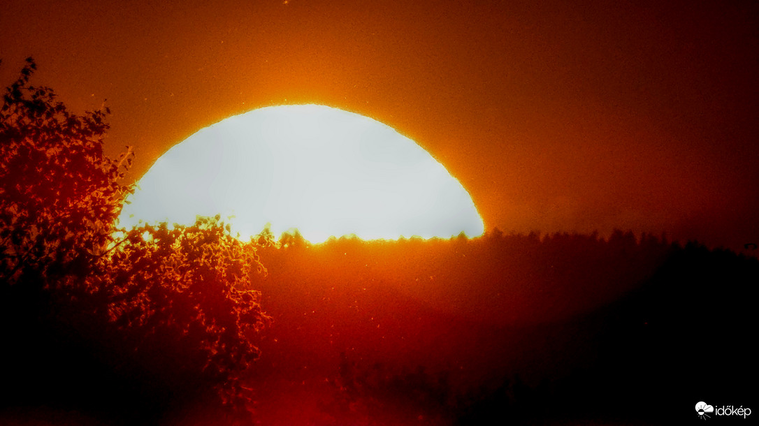 "Bogaras" naplemente