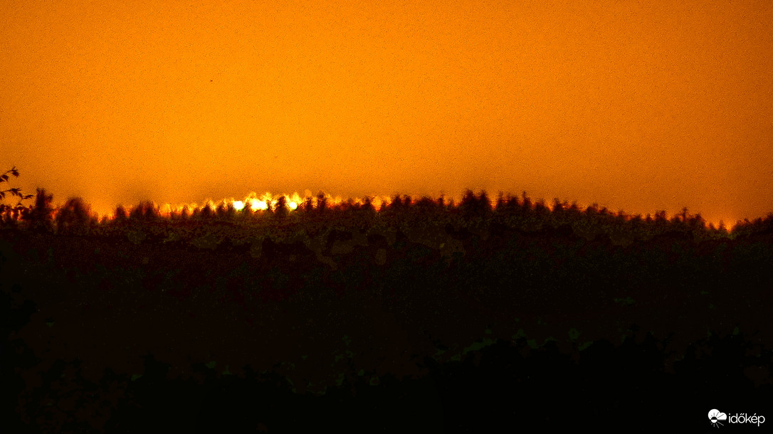 (Tüdőröntgen) az erdő átvilágítva