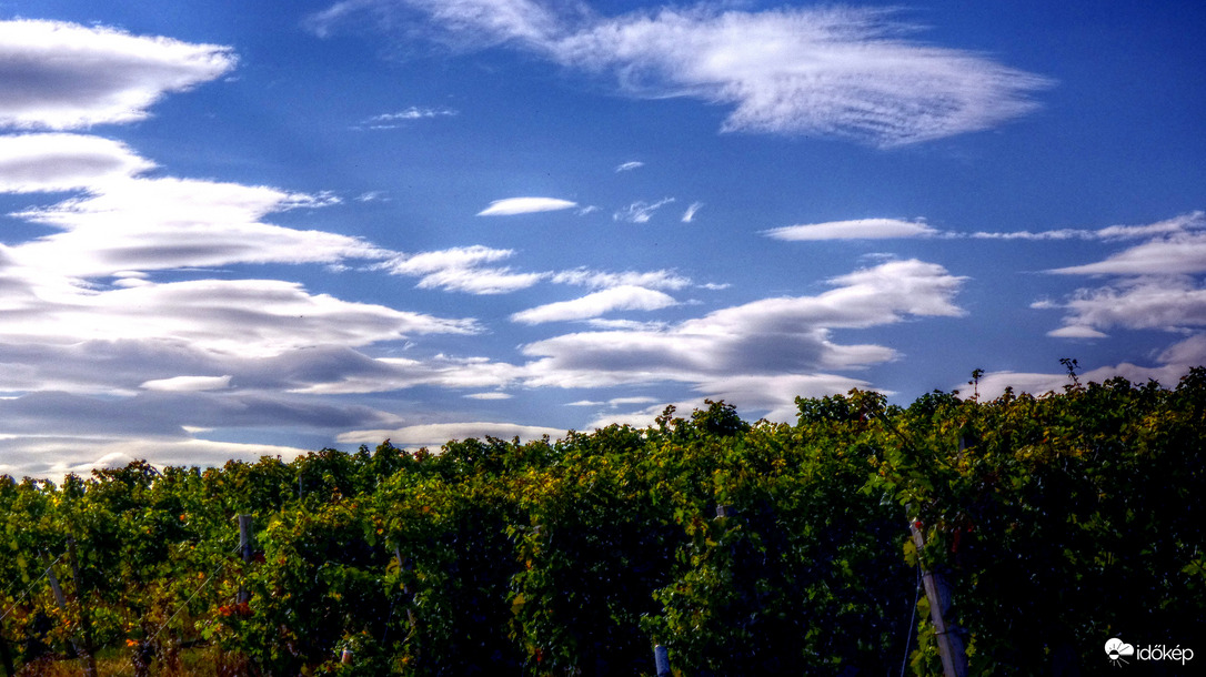 Szőlősvidék októberi napfényben