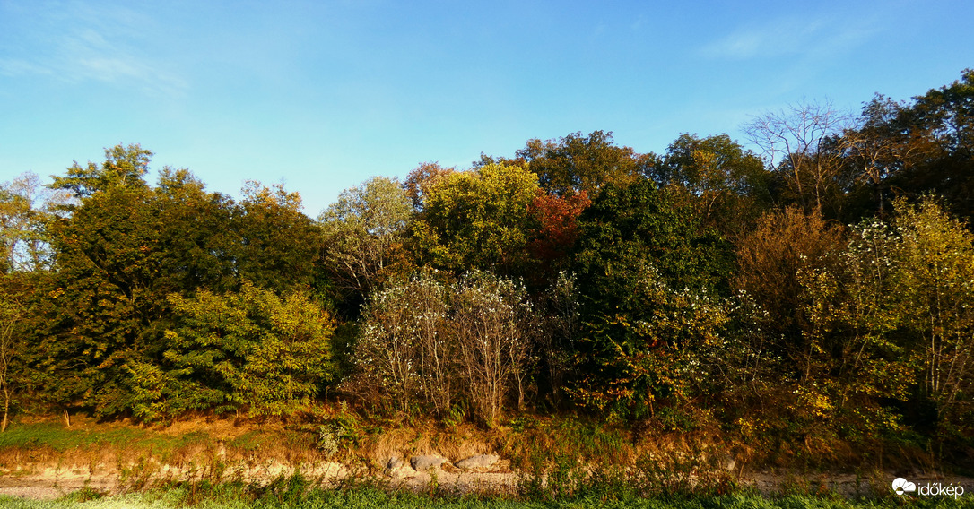 Öszüló Lajta-part