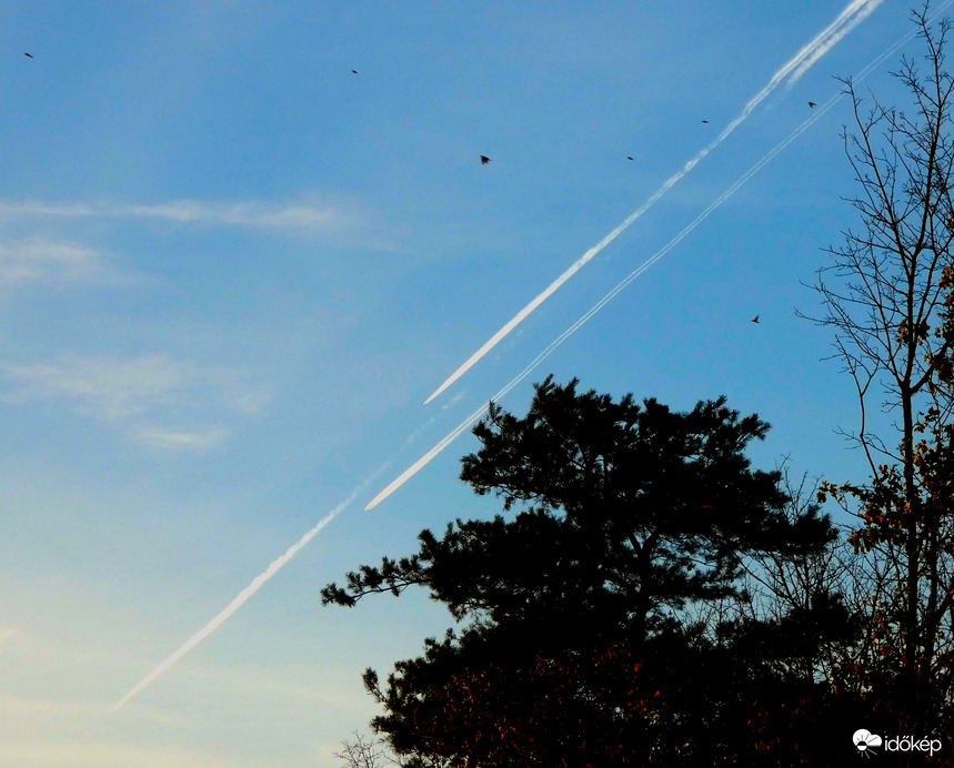 Az éles verseny - Forma "L"