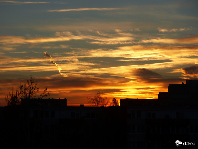 Csillagos reggeli amőba