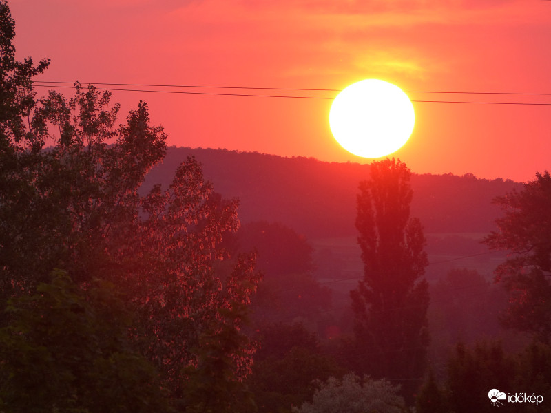 Nyárfaláng
