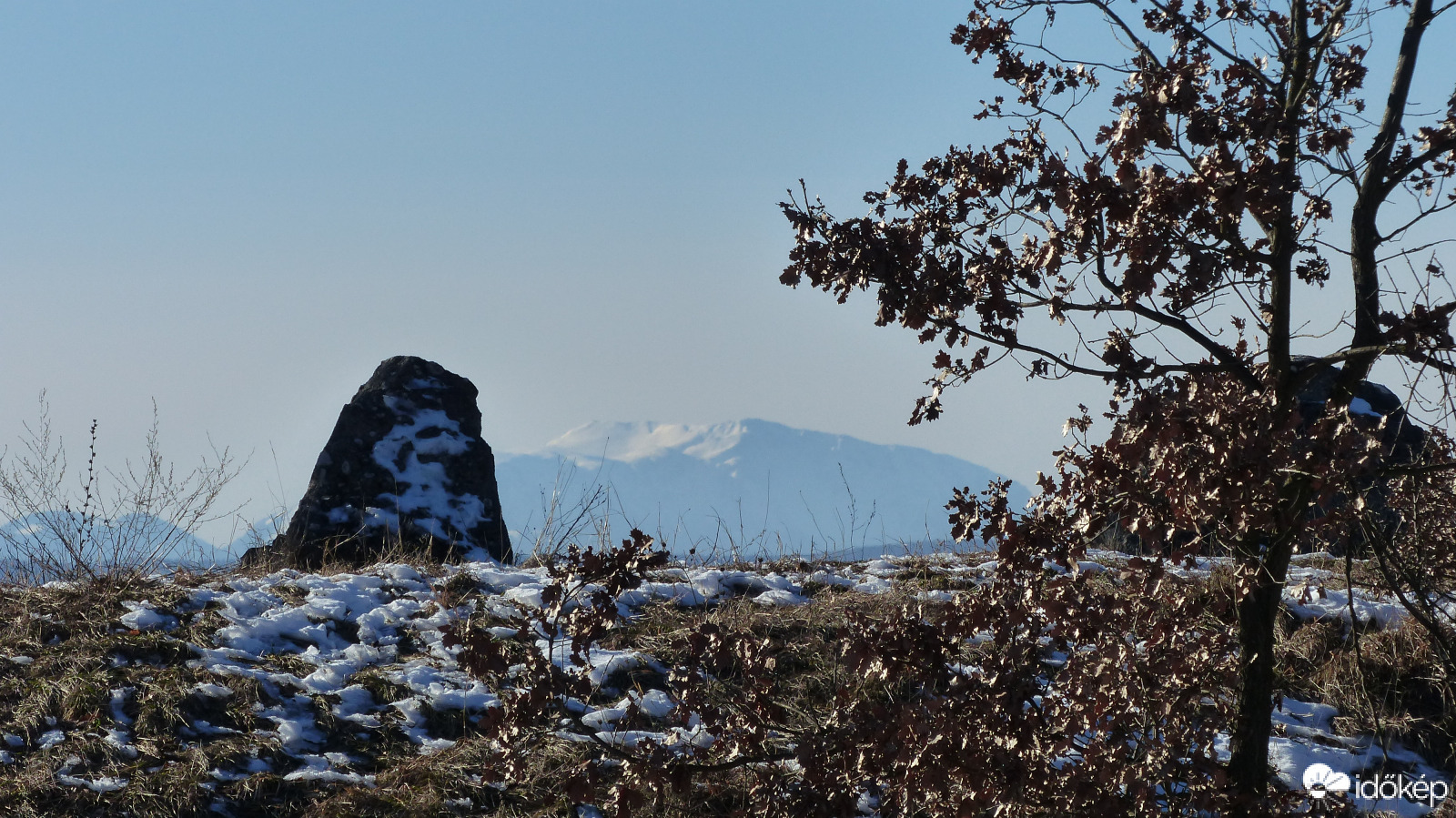 Távoli rokonok (mészkősziklák)