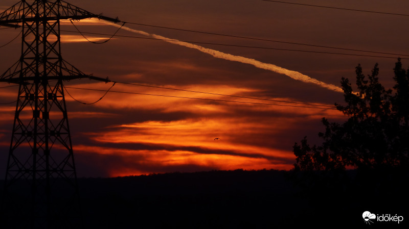 Elszállt. A madár is.