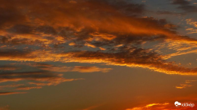 Napfestette páracsíkok