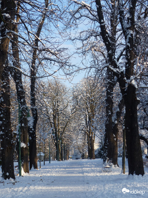 Kastanienallee