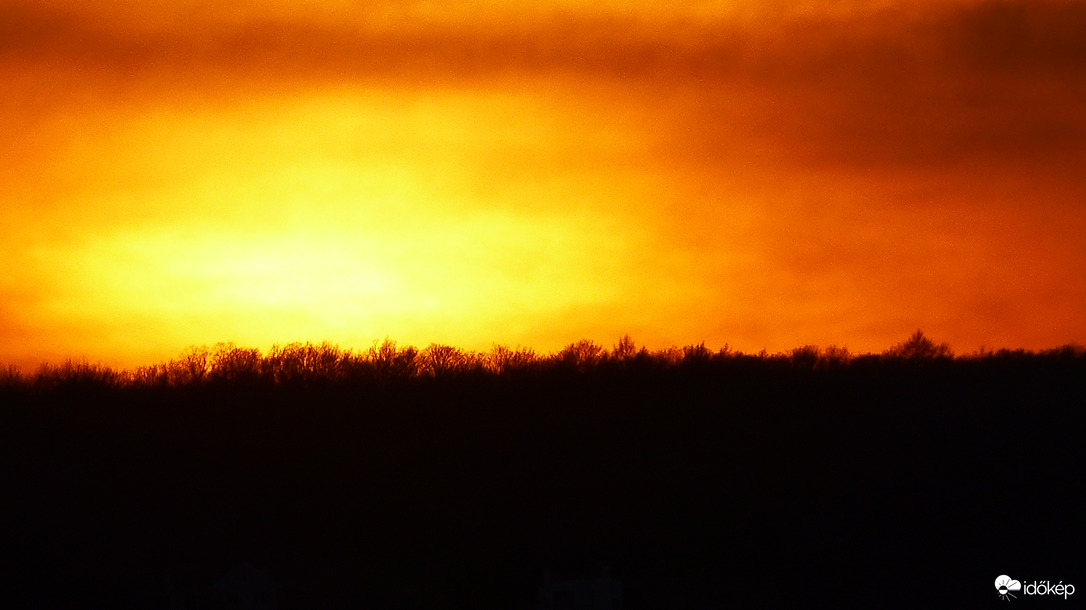 Erdő hátán színkavalkád