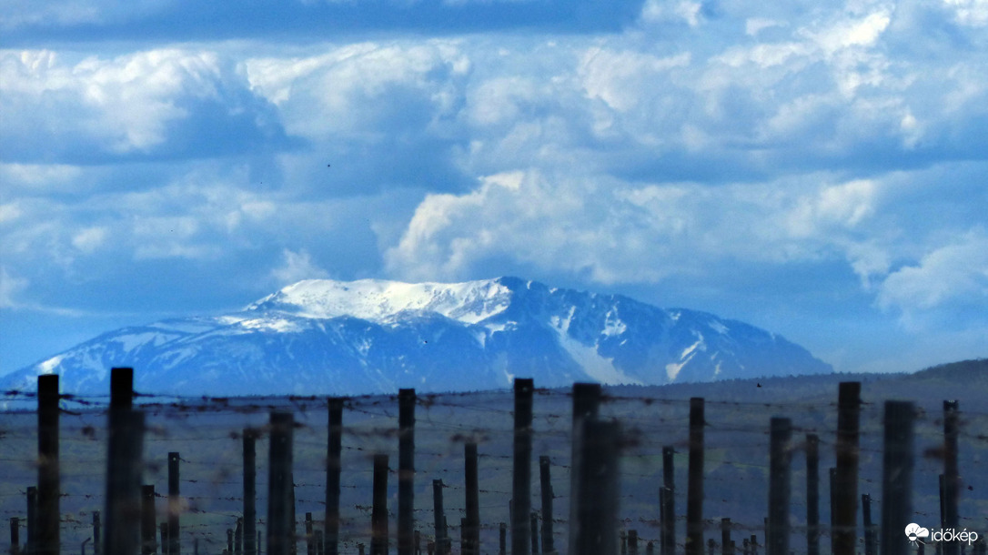 Schneeberg felhői a szőlő-ből