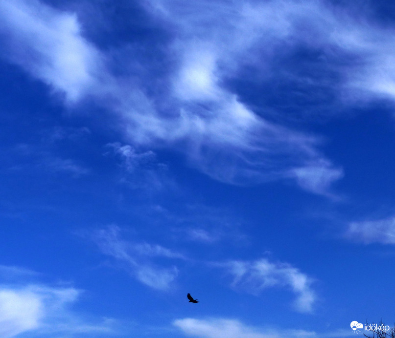 Madár és a cirrusok