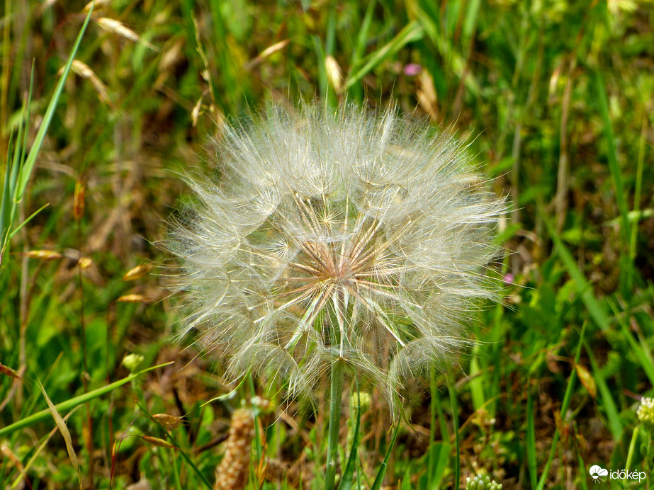 A természeti struktúra tökéletessége