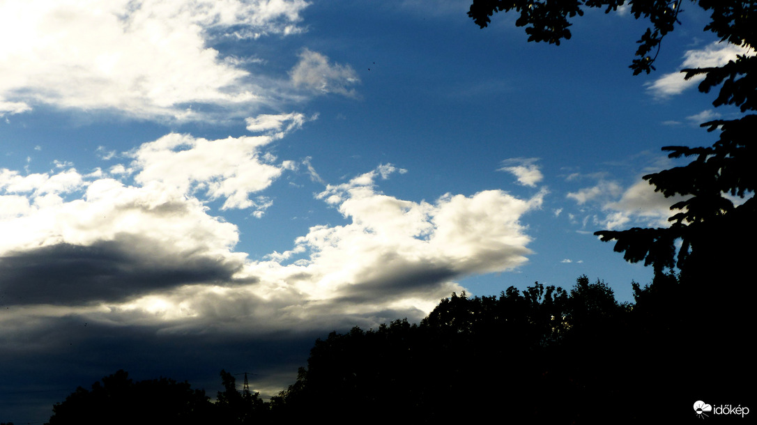 Égtengeri fogas halacska