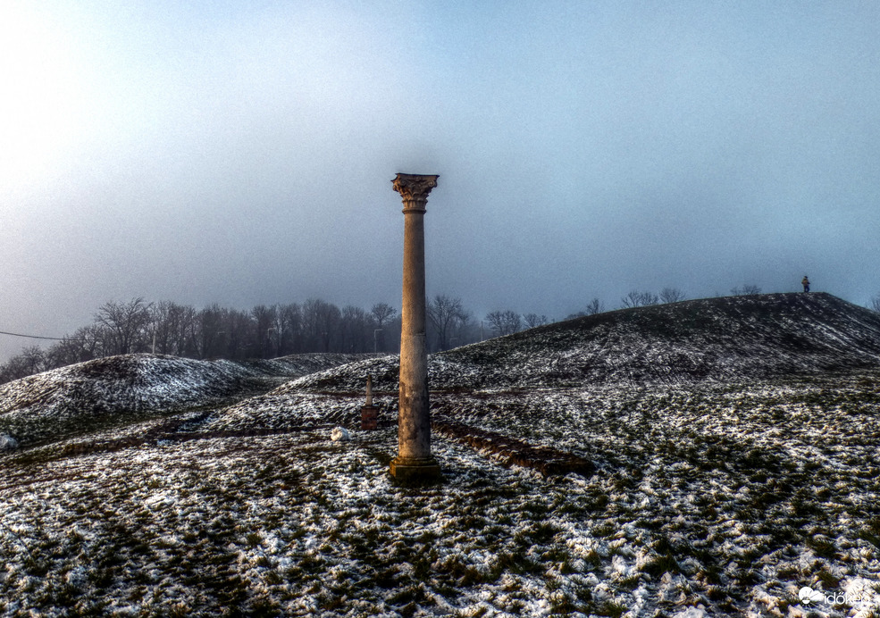 Scarbantia amphiteatruma