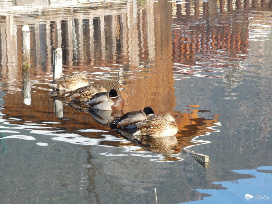 Abszolút "hőszigetelés) 