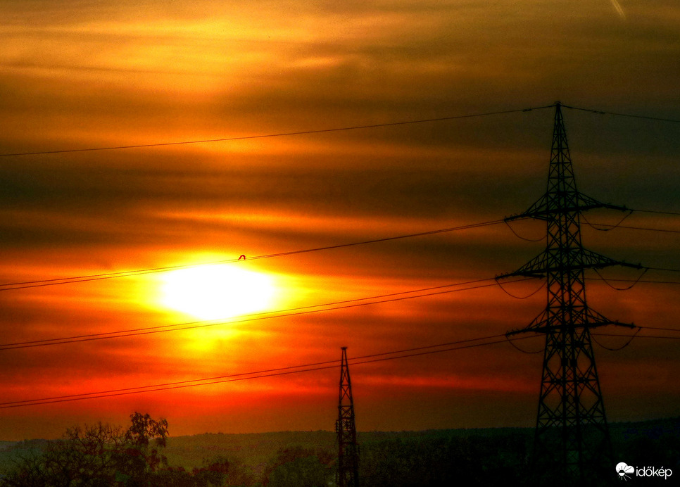 naplemente - madárral