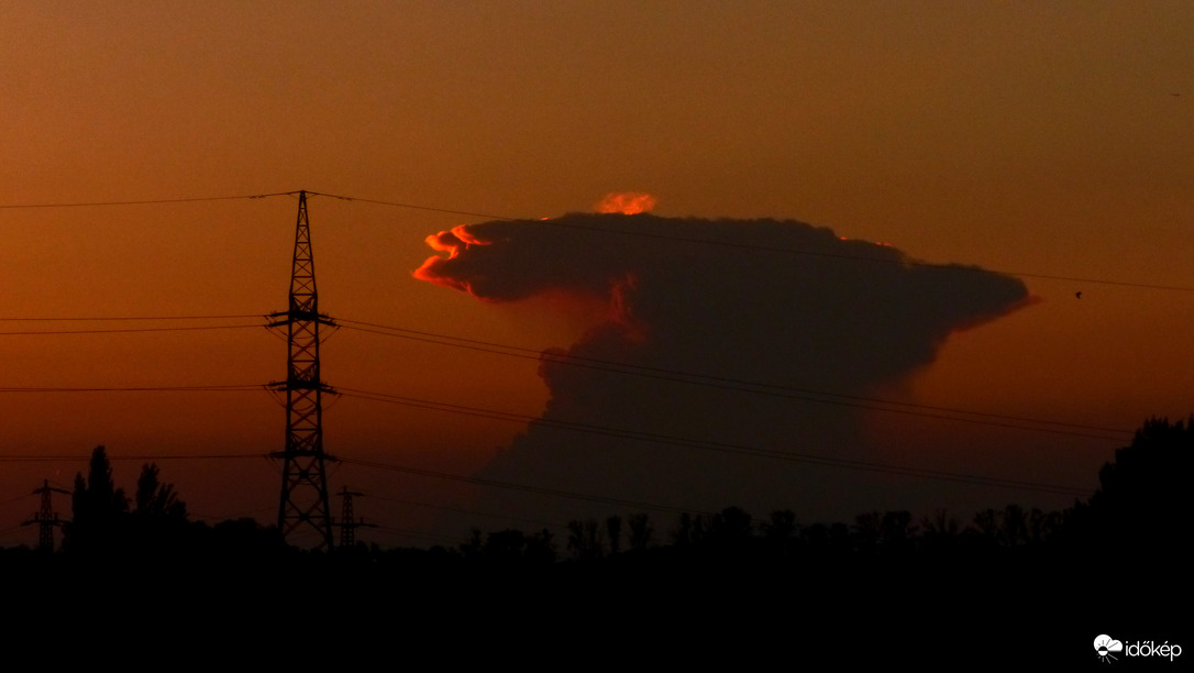 Tanácstalan ET. Eszik, vagy isszák ezt az energiát ???