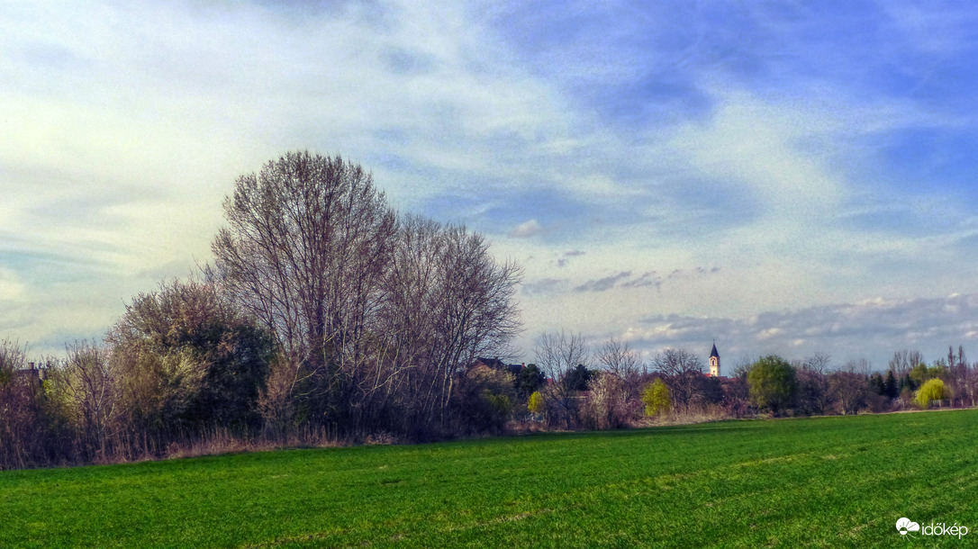 Tavaszodik (Fertő-táj)