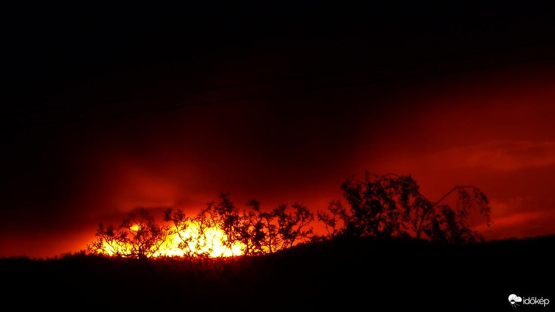 Bokrok mőgé bújva