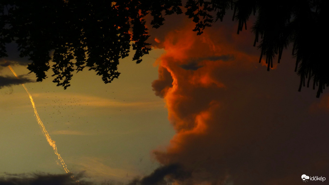 "In memoriam Hemingway" 