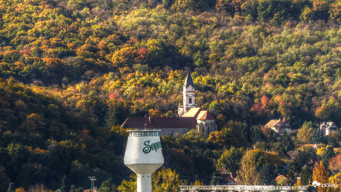 Őszi erdő Sopronban
