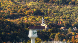 Őszi erdő Sopronban