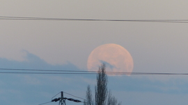 A kötéltáncos nyugovóra tér