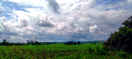 Soproni panoráma (Mélyút-dűlő)
