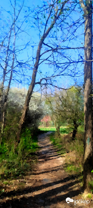 Tavasz a vízparti bozótosban