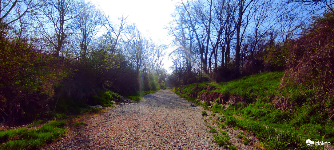 VÍZkövezte  folyómeder