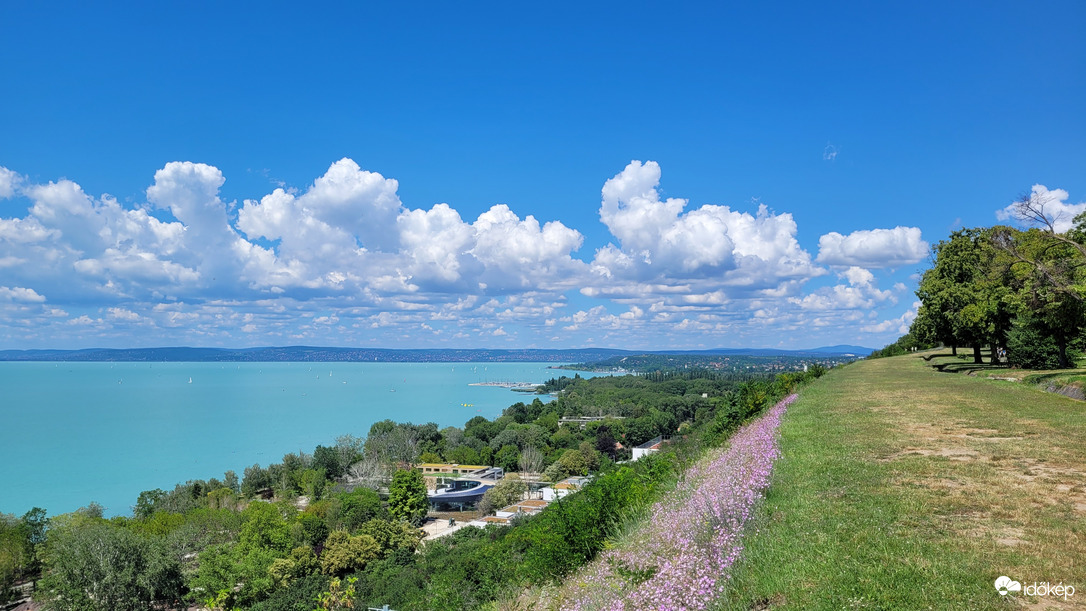 Balatonakarattyai magaspart virágszőnyeggel