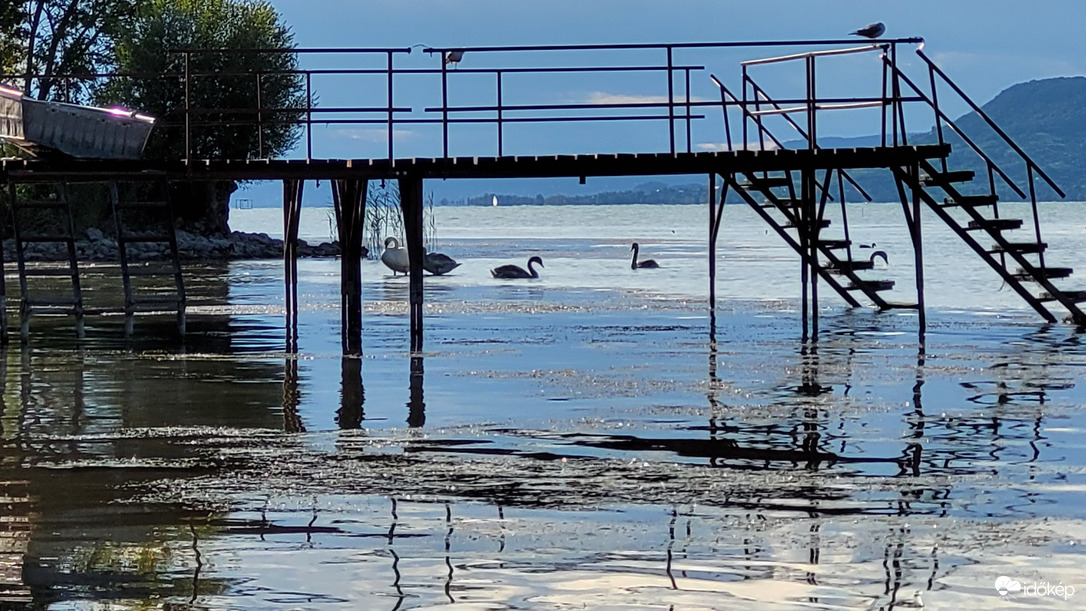 Boglárnál a Balaton apad, madárkaravánok találkozása nem tilos