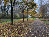 Budapest IV.ker - Káposztásmegyer