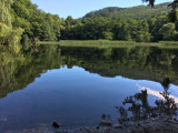 Nyíregyháza