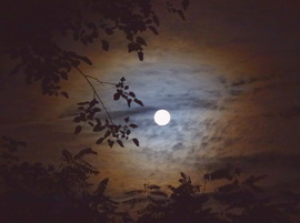 Felhőkön úszik a hold