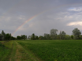 Győzelem napi szivárvány