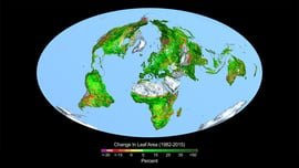 Sokkal zöldebb Föld pár évtized NASA műholdas megfigyelése alatt. Kárpát-medence + 30%
