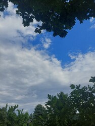 Szabadka