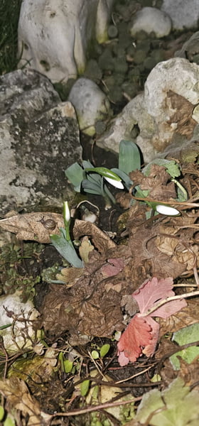 Budapest XXI.ker - Csepel