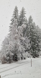 Kirchbach