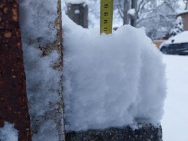 Budapest XVII.ker - Rákosliget