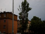 zalanocsko fotója