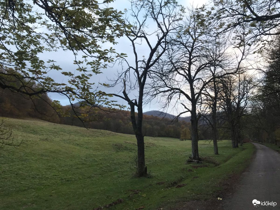 Parád