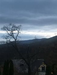 Parád