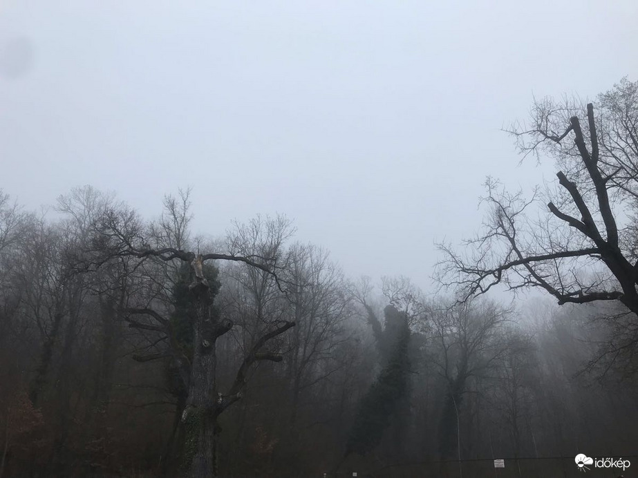 Parád