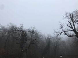 Parád