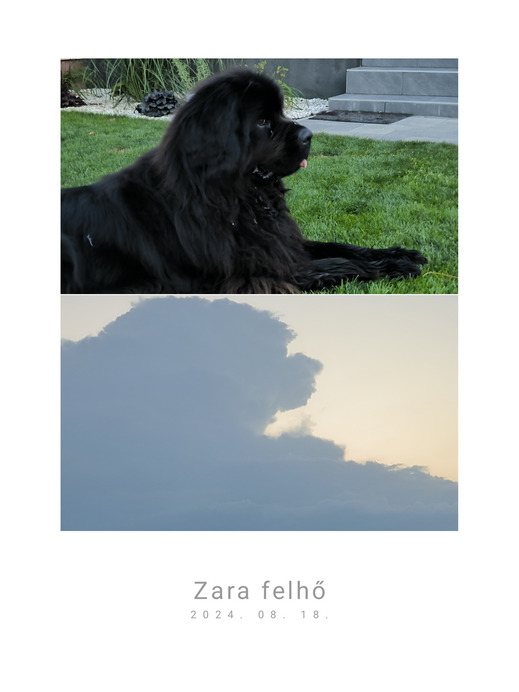 Zara a felhőben